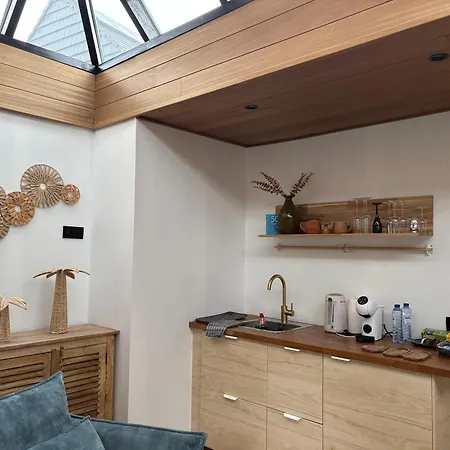 Efes בית אירוח גנט