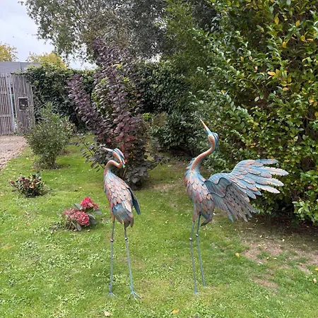 בית אירוח Efes