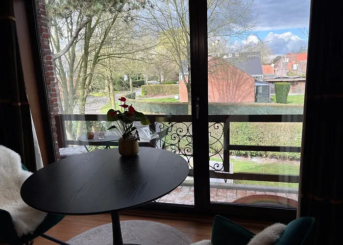 Проживание в семье Efes Гент